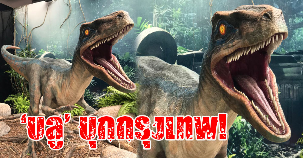 กล้าเซลฟี่มั้ย!? 'บลู' เวโลซีแร็ปเตอร์ จาก Jurassic World: Fallen Kingdom บุกกรุงเทพฯ