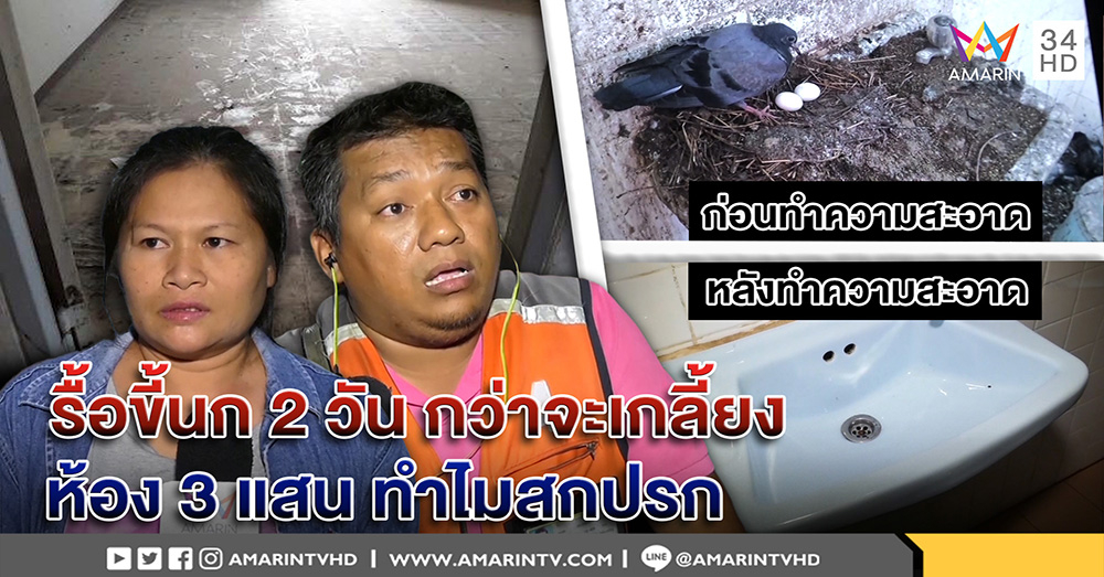 หนุ่มโวยซื้อห้อง 3 แสน ขี้นกหนาเป็นนิ้ว จ้างแม่บ้านรื้อจนสะอาด - เคหะโทรขอโทษ (คลิป)