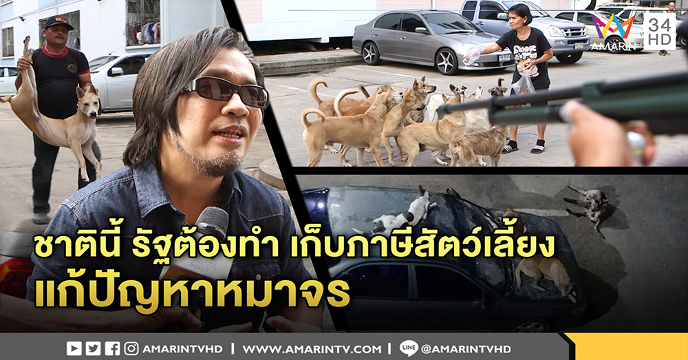 คนรักหมาโร่ช่วยชาวเคหะท่าจีน ยิงยาสลบขนไปดูแลหลังทำรถพัง จี้รัฐเก็บภาษีคนเลี้ยง (คลิป)