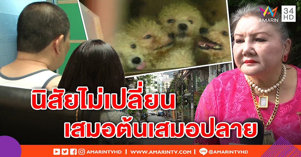 สนั่นซอยอีกแล้ว! เพื่อนบ้านสุดทน อัดคลิปแฉ “ป้าแสงระวี” ด่ากราด เอือมกลิ่นหมาคลุ้ง (คลิป)