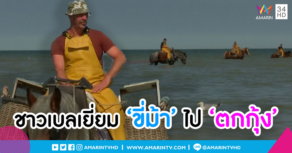 รู้จัก 'การขี่ม้าตกกุ้ง' มรดกโลกทางวัฒนธรรมในเบลเยียม