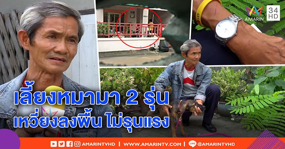 เปิดใจลุง โต้ทารุณหมา แจงถูกกัดเลยจับทุ่ม ชี้ร่างผอมเพราะสายพันธุ์ ยอมให้คนรักสัตว์ดูแล (คลิป)