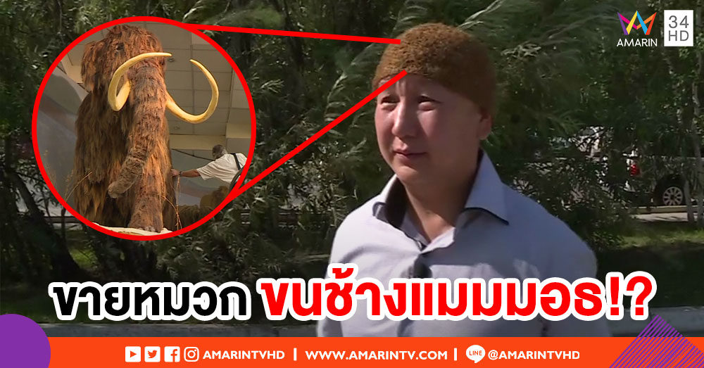 หนุ่มใหญ่ชาวรัสเซียขาย หมวกขนช้างแมมมอธ ราคากว่า 3 แสนบาท