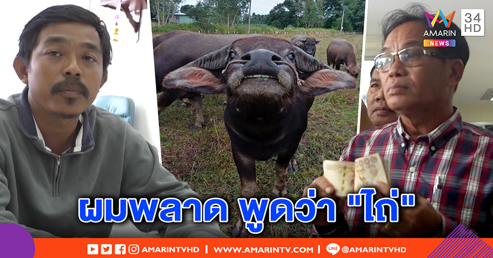 "คล้าว 2018" เครียด! พลาดพูด "ไถ่" ขอบริจาคซื้อควายยิ้ม ไม่คิดโกง ยันเจตนาดี เลี้ยงสร้างสุข (คลิป)
