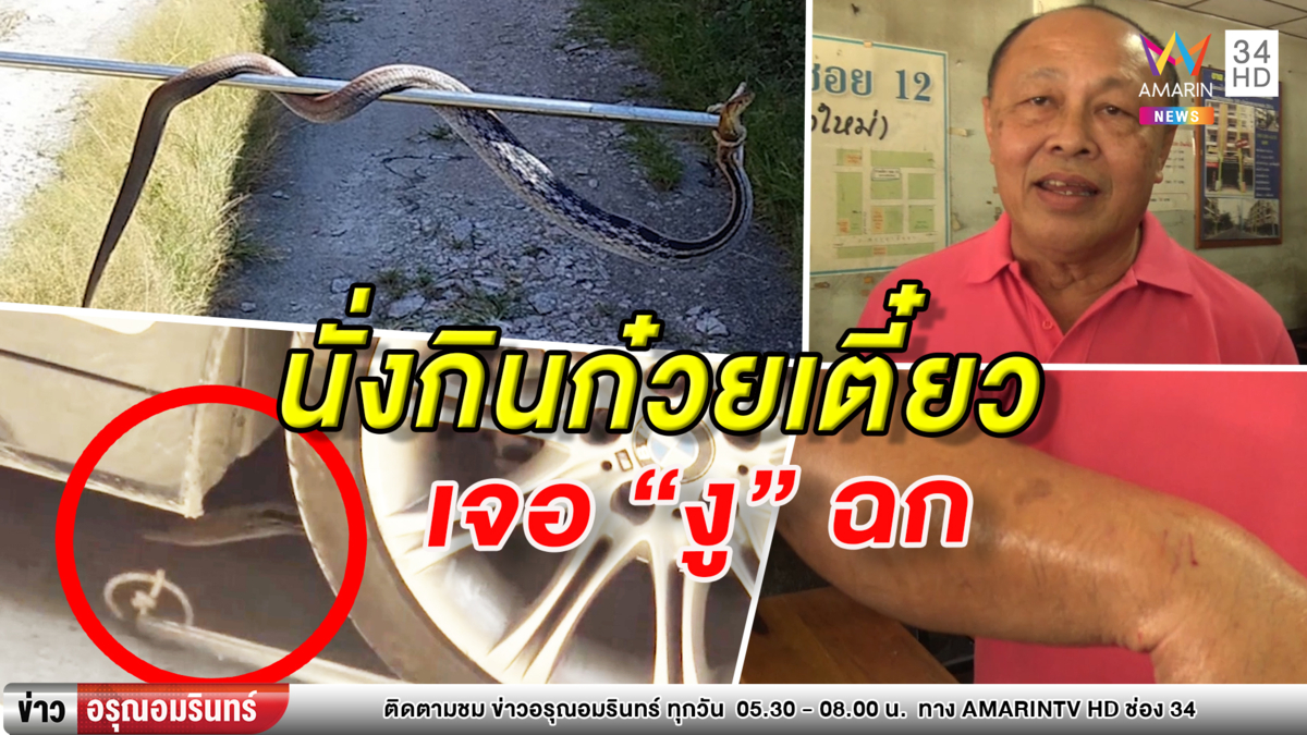 สะดุ้ง! 'งูเห่าม้า' ฉกลูกค้ากินก๋วยเตี๋ยวจมเขี้ยว ก่อนหนีซุกรถนักข่าว (คลิป)