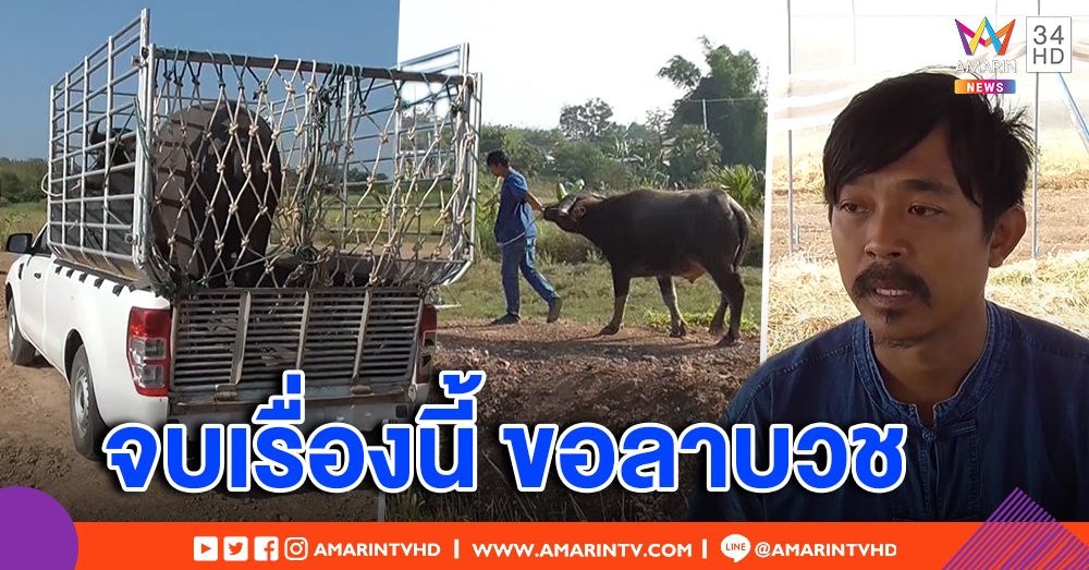 "พี่คล้าว 2018" สะอื้น ส่งควายยิ้มเป็นของกลาง จบเรื่องวุ่นขอลาบวช - ตร.ยึดเงินแสน จ่อประสาน ปปง. สอบพิรุธ (คลิป)