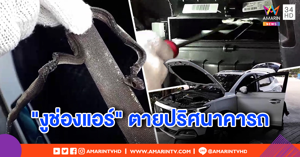 ขนลุก! เจ้าของรถได้กลิ่นเหม็น เรียกอาสาช่วย เจองูในช่องแอร์ คาดตายมาแล้ว 2 วัน