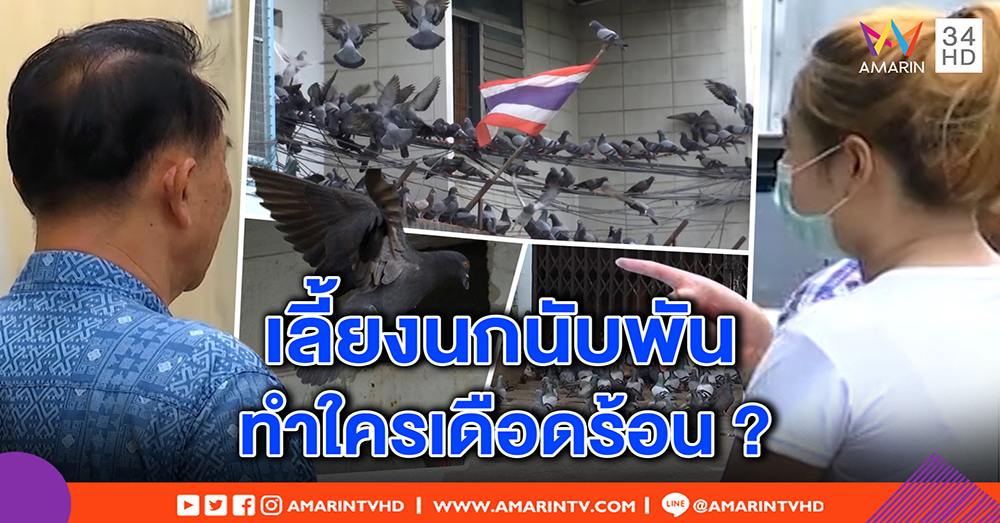 ตะลึง! “ป้าพิราบ” เปิดบ้านเลี้ยงนกนับพันอ้างทำทาน - ชาวบ้านโวยกลิ่นขี้หึ่ง ขนเพียบ (คลิป)