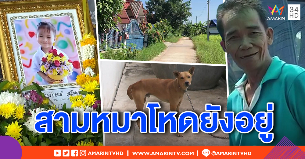 บ้านปิดเงียบ เพื่อนบ้านเชื่อหมาโหดขย้ำเด็ก 4 ขวบ ยังอยู่ ยันคู่กรณีรักกันดี