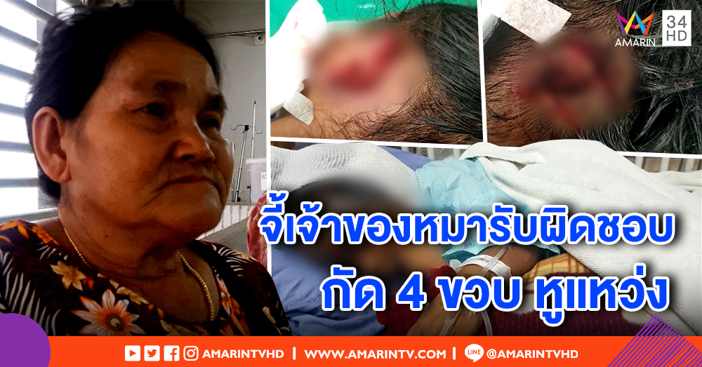 เด็ก 4 ขวบถูกหมากัดหูแหว่ง ปลอดภัยแล้ว ญาติจี้เอาผิดเจ้าของทำเฉย