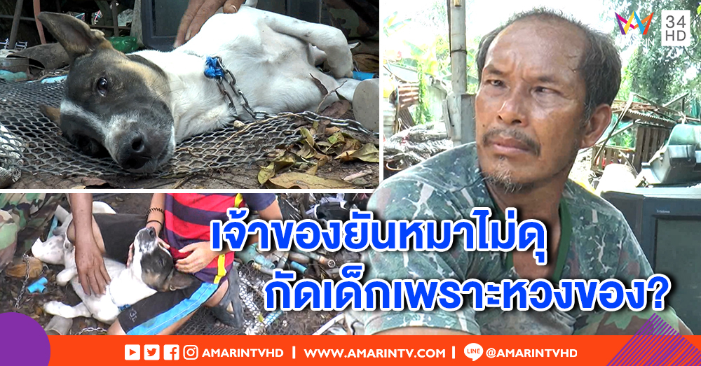เด็ก 4 ขวบถูกหมากัดยังผวา เจ้าของยันหมาไม่ดุ หวิดวางมวยญาติเด็กกลางหมู่บ้าน