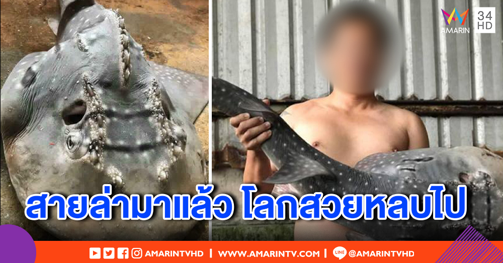 สายล่ามาแล้ว ! หนุ่มอ้างเป็นทหาร โพสต์ภาพจับ "ปลาโรนิน" สัตว์คุ้มครอง สวนกลับคนเตือนโลกสวย