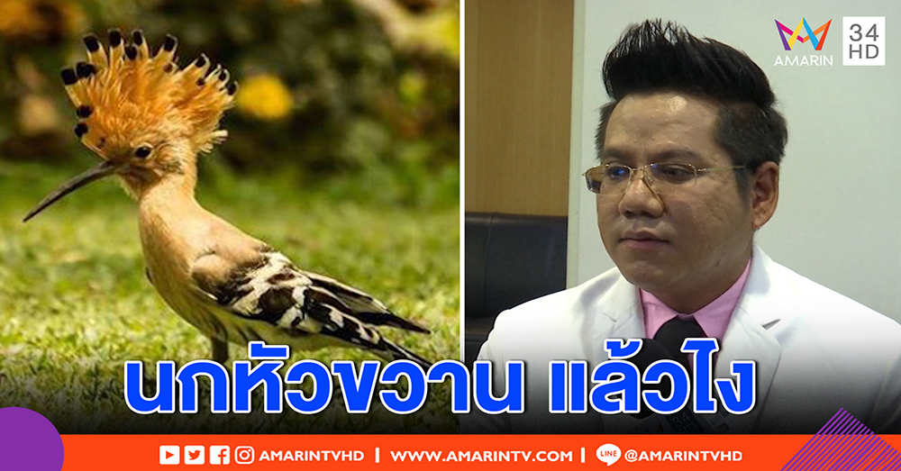 รณณรงค์ ชี้ ถูกเสียดสีเทียบ “นกหัวขวาน” ยันทำคดีลูกบิดประตู ไม่รับเงินสักบาท (คลิป)