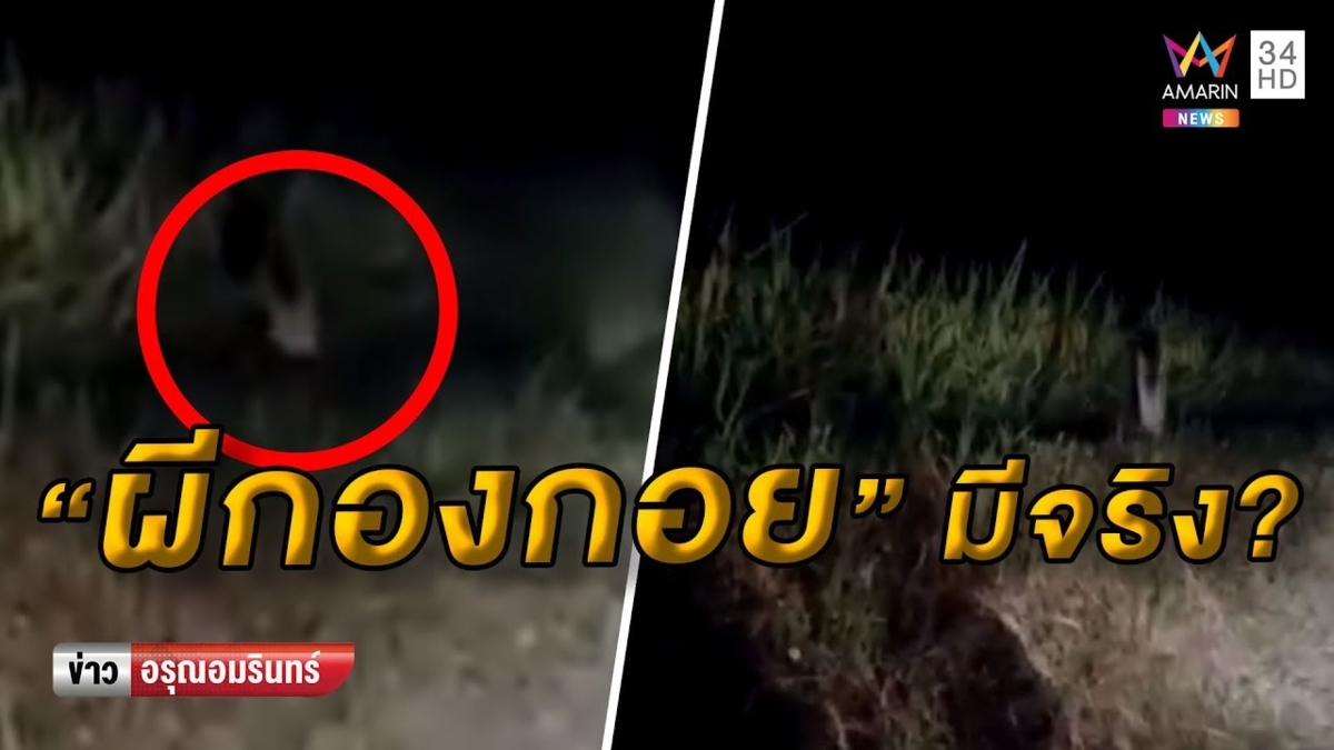 ชาวเน็ตตื่น 'ผีกองกอย' โผล่กระโดดข้างทาง ถกเสียงแตกมีจริงหรือ? (คลิป)