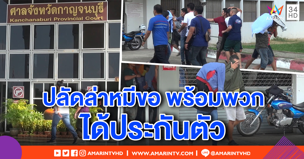 ศาลกาญจนบุรีอนุญาตประกันตัว ผู้ต้องหาคดีล่าหมีขอทั้ง 11 คน วงเงินประกัน 2 แสน