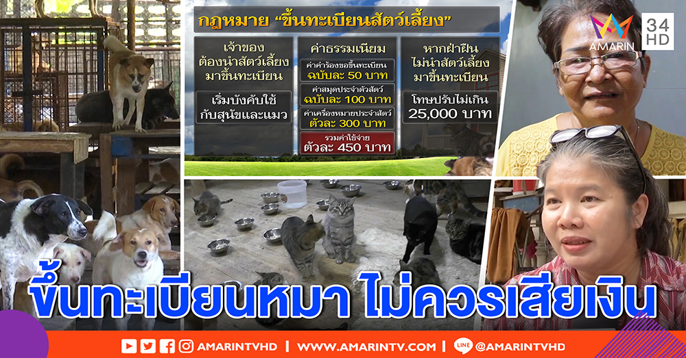 “ป้าจุ๊” บ้านพักสี่ขา เห็นดีขึ้นทะเบียนหมา โอดมีกว่าพันตัว ถ้าเก็บเงิน จ่าย 6 แสนไม่ไหว (คลิป)