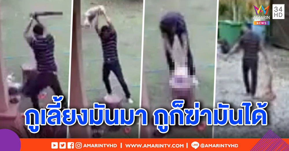 สาวแชร์คลิป พ่อเลี้ยงโหดทำร้ายหมา ฟาดไม่ยั้ง - ทุ่มกับตอไม้ อ้าง "เลี้ยงมันมา ก็ฆ่ามันได้" (คลิป)
