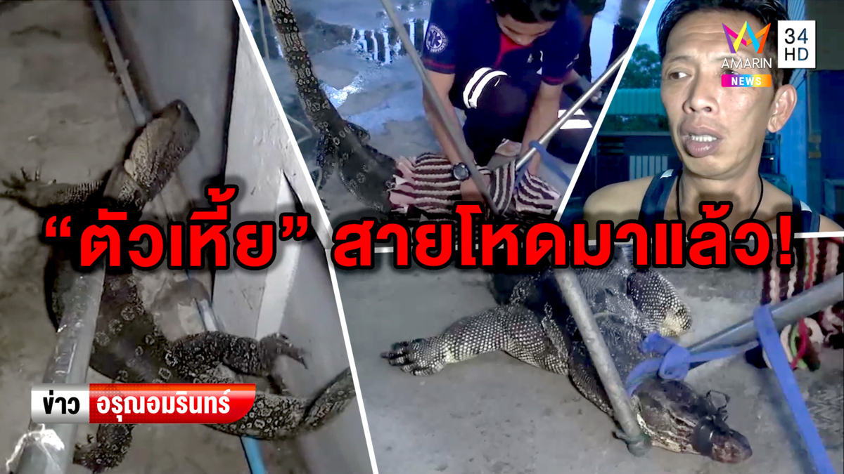 'ตัวเหี้ย' สายโหด! วิ่งเข้าบ้านไล่กัดเด็กสาว-เจ้าหน้าที่ไล่จับวุ่น (คลิป)