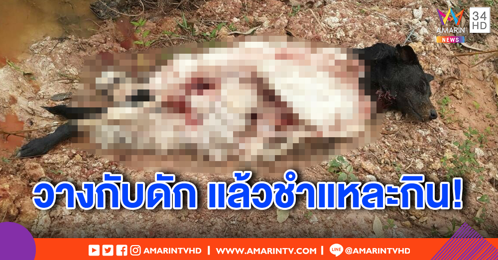 ชาวเน็ตร้อง เพื่อนบ้านอำมหิต วางบ่วงดักหมา อึ้ง เจออีกที ถูกชำแหละกิน เหลือแต่หัว