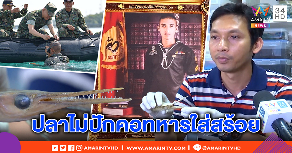 จบดราม่าปลาเต็กเล้งพุ่งปักคอทหาร กูรู ชี้ ไม่เกี่ยวแสงสร้อยวิบวับ แนะขับเรือช้า - เลี่ยงฝึกกลางคืน (คลิป)