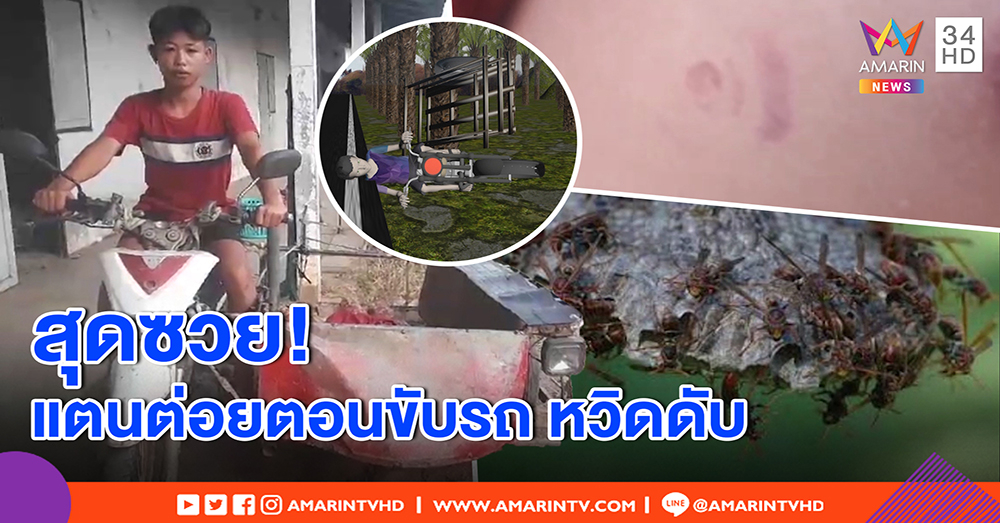 สุดอันตราย หนุ่ม 15 ขับรถดันโดนแตนต่อย พุ่งตกข้างทาง ซ้ำพิษร้าย แค่ 2 ตัวหวิดตาย (คลิป)