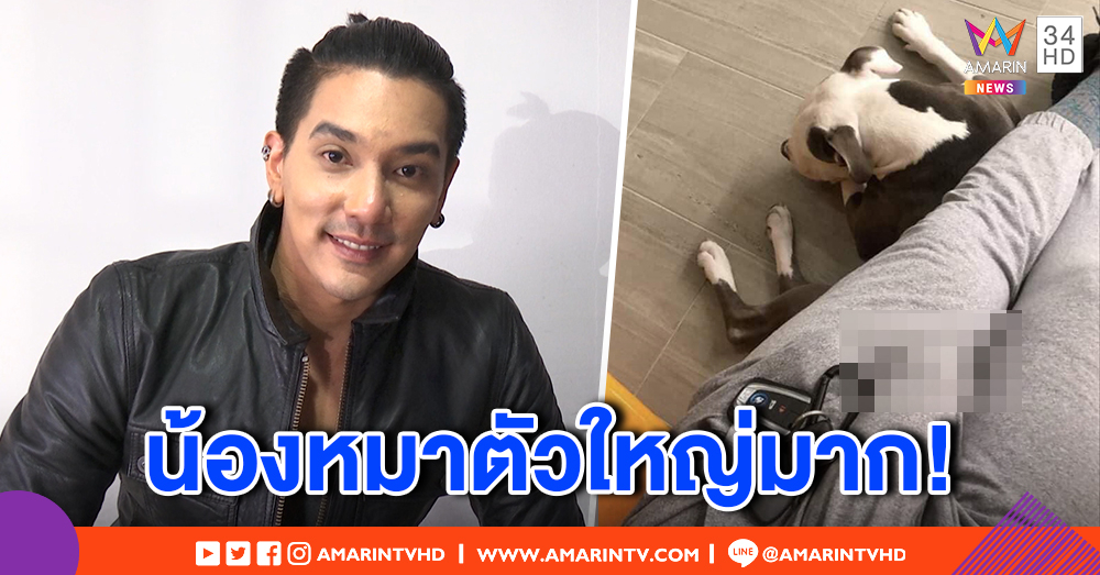อลังการ! "ดีเจแมน" โพสต์ภาพพิทบูล ชาวเน็ตโอ้โห หลุดโฟกัส ลืมมองหมาเลยแบบนี้