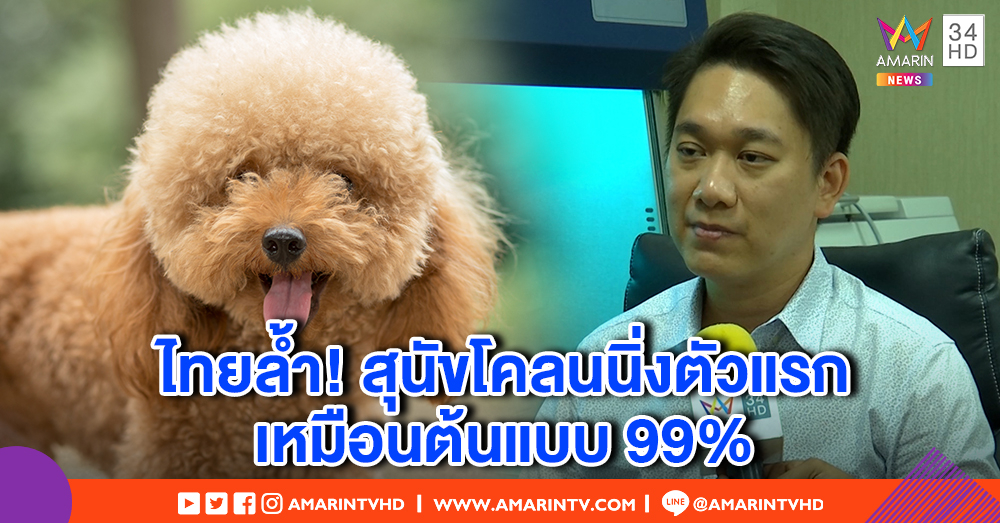 คนรักสัตว์เฮ! สุนัขโคลนนิ่งตัวแรกของไทย กำหนดคลอด มี.ค. 62 จับมือเกาหลีใต้ ทุ่มสร้างตัวละ 3 ล้าน