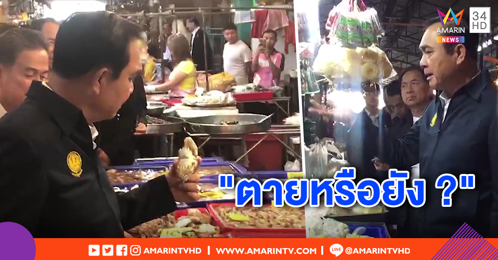 นายกฯ เยี่ยมตลาดพระประแดง เจอปูม้าถูกมัด ถาม "ตายหรือยัง" ย้ำมาติดตามงาน ไม่พูดการเมือง