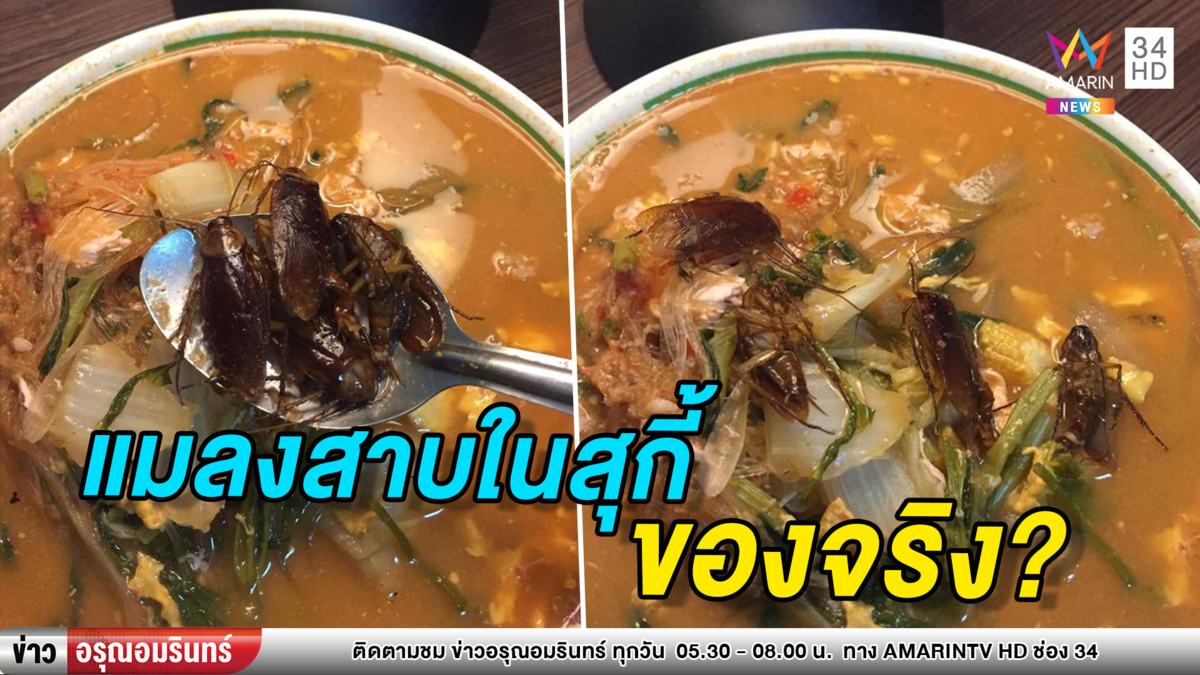 ดราม่า! สาวสั่งสุกี้ได้ของแถมแมลงสาบทั้งฝูง-ชาวเน็ตฯซัดจัดฉาก (คลิป)