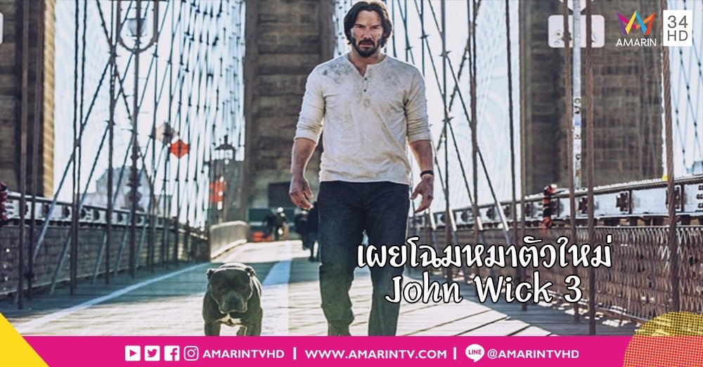 เผยโฉมหมาตัวใหม่ของโคตรนักฆ่า อุ่นเครื่องความเดือดระอุ มันส์กัดไม่ปล่อย “JOHN WICK 3”