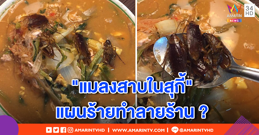 แม่ค้าตามสั่งโต้เดือด "แมลงสาบในสุกี้" แผนร้ายต่างด้าว หวังทำลายร้าน - คนโพสต์ยันไม่ได้จัดฉาก