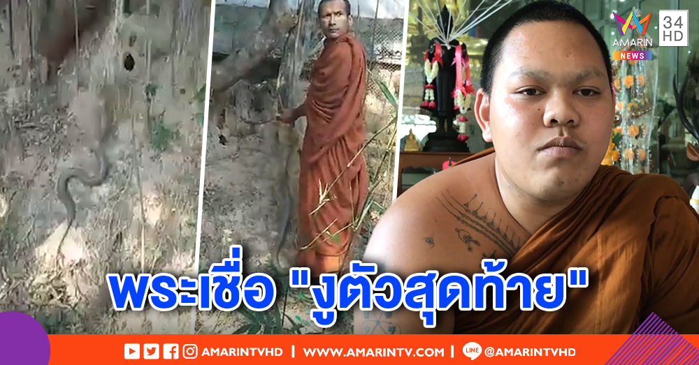 ชาวบ้านผวา เจองูพิษรอบ 3 ติดกับดักหนู หลังวัดปล่อยงูสะเดาะเคราะห์ - พระเชื่อ เป็นงูตัวสุดท้ายในพิธี