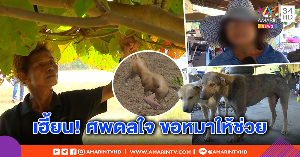 สยองขวัญ! ผัวเมียเล่านาทีเจอสาวสองถูกฆ่าหั่นศพ เชื่อคนต่างถิ่น จ่อย้ายบ้านหนี กลัวผีหลอก (คลิป)