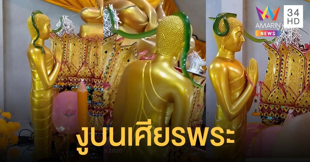 ฮือฮา! แห่ตีเลขเด็ด งูเขียวสีมรกต เลื้อยบนเศียรพระพุทธรูป