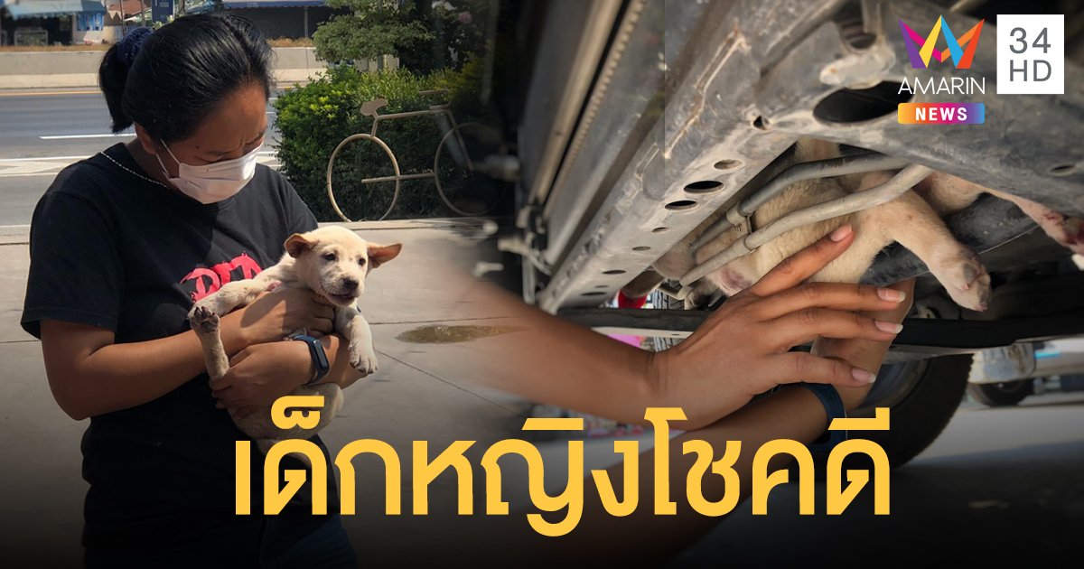 ลูกหมาดวงดี ติดใต้ท้องรถ ขับลากไกล 50 กม.ไม่เป็นอะไรเลย