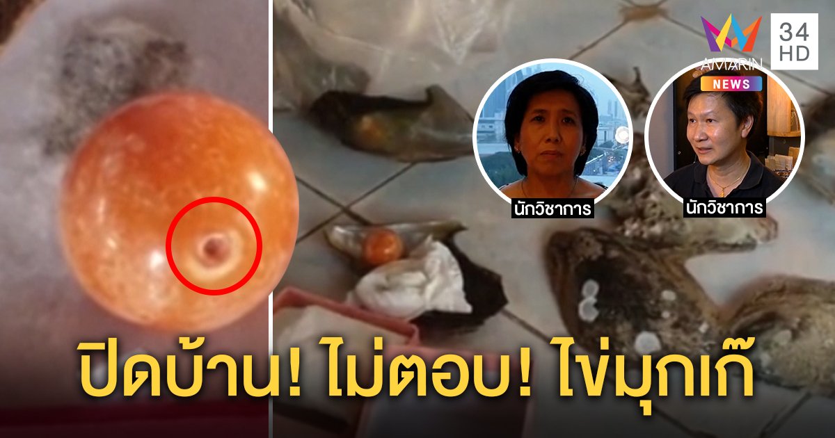 2 นักวิทย์ชี้พิรุธจริง “ไข่มุกเมโล” เห็นฝาก็ไม่ใช่ ญาติปิดบ้านเงียบหลังเจ้าของติดคุก (คลิป)