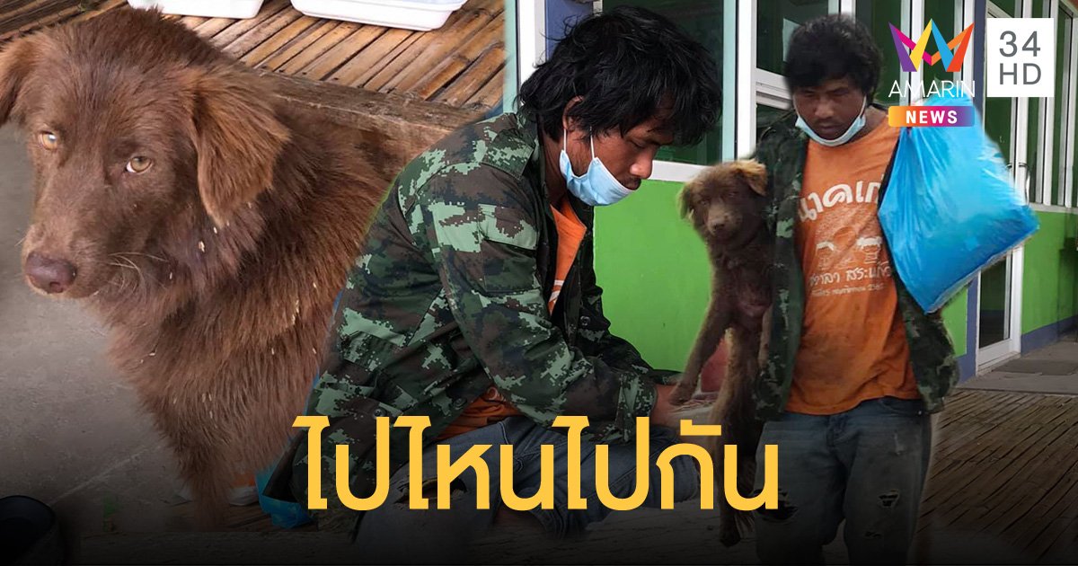 หนุ่มตกงาน ไร้เงิน ตัดสินใจเดินเท้ากลับบ้านไปหาแม่ พร้อมสุนัขคู่ใจเพราะไม่อยากทิ้งกัน