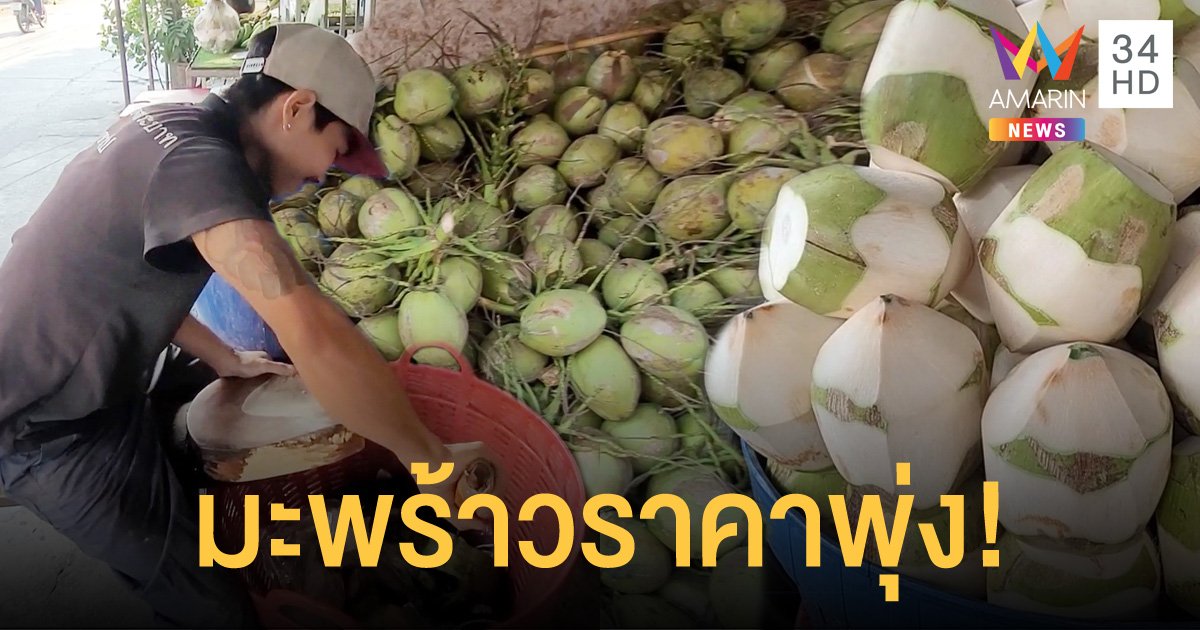 มะพร้าวน้ำหอมในเชียงใหม่ปรับขึ้นราคา ชาวบ้านไม่เชื่อกินแล้วเพิ่มพลังทางเพศได้
