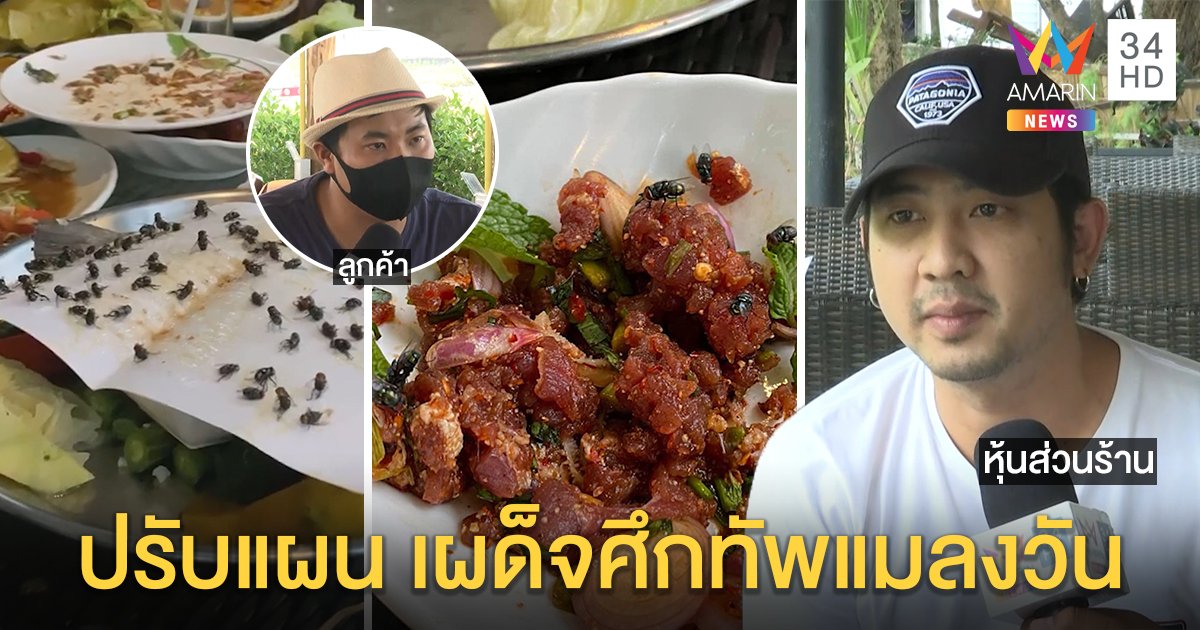 เปิดใจนาทีเจอกองทัพแมลงวันนับร้อยรุมตอมอาหาร ร้านขอโทษ ปรับแผนรับลูกค้า (คลิป)