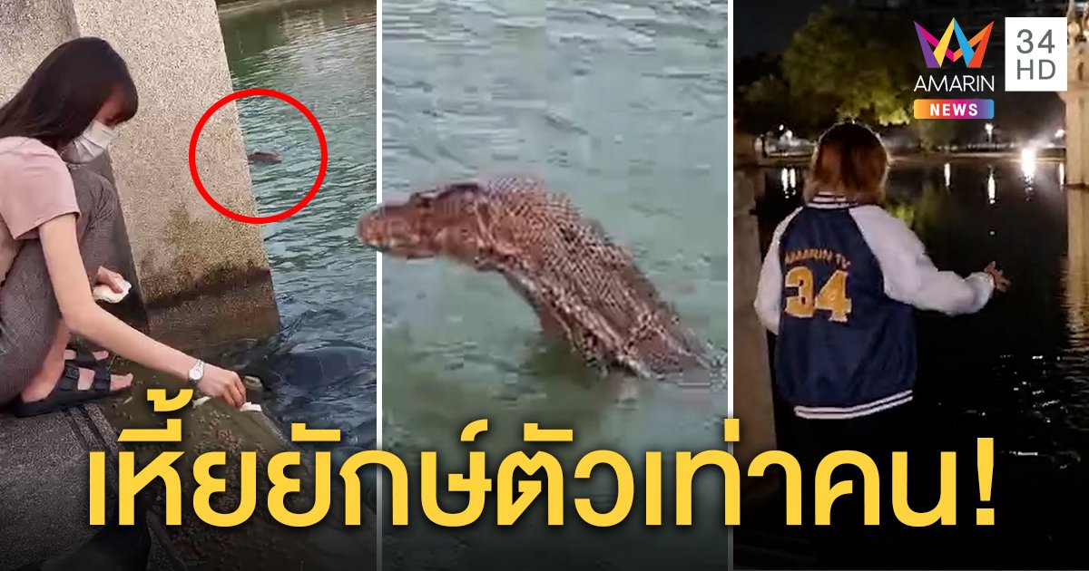 พิสูจน์เหี้ยยักษ์ทำสาวน้อยขวัญผวา ชาวบ้านยันตัวเท่าคน หวั่นกัดทำติดเชื้อ (คลิป)