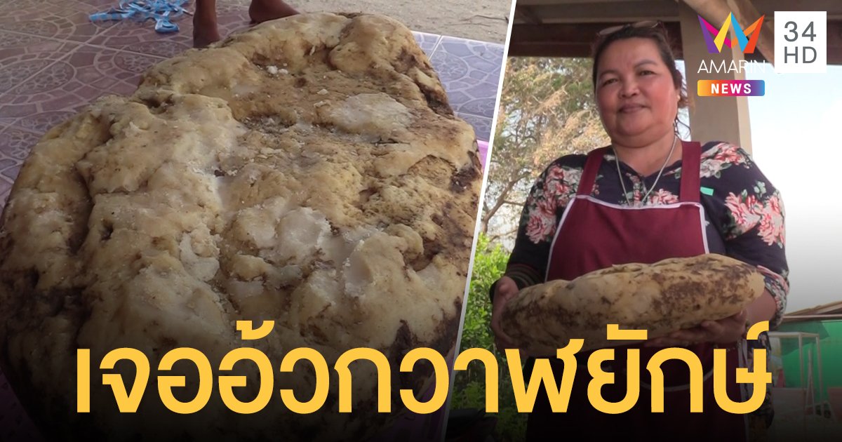 โผล่อีก! ชาวบ้านเมืองคอนเจอ "อ้วกวาฬ"  หนักร่วม 7 กก. เชื่อเป็นของจริง