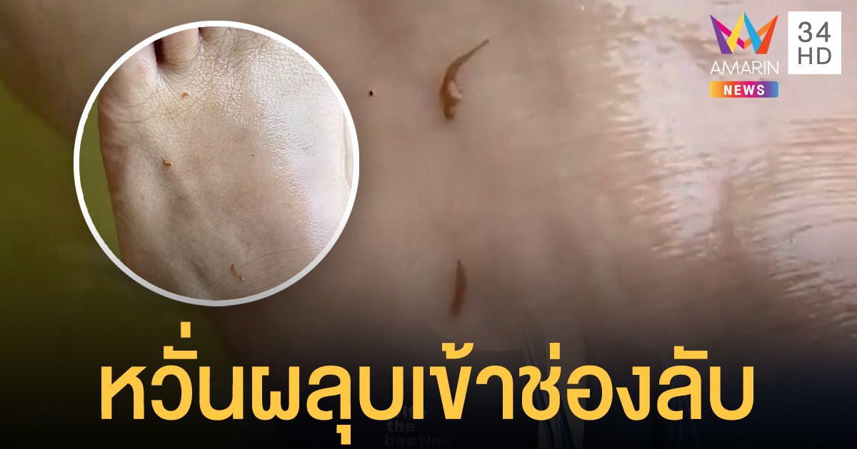 ตัวอะไร!? ยั้วเยี้ยในน้ำ ห้วยตึงเฒ่า นทท.ผวา หวั่นผลุบเข้าช่องลับ