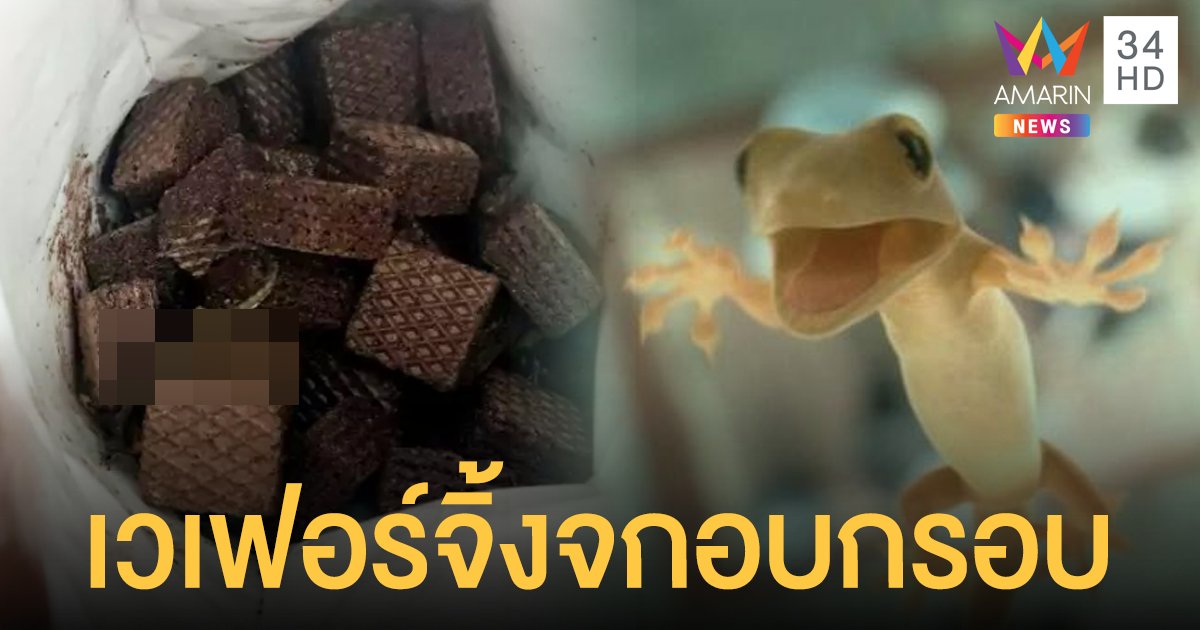 อวสานกินจุกจิก หนุ่มโพสต์เจอ จิ้งจก 2 ตัว โดนอบกรอบแฝงตัวในซองขนม