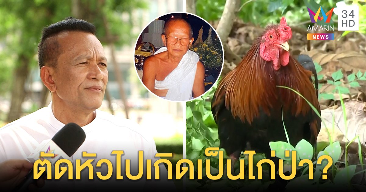 "พ่อกุศลฯ" มาแปลก! อ้างนิมิตธรรมกรเกิดเป็นไก่ สื่อพิสูจน์เจอไก่แก่ ชีจวกอย่าโหน (คลิป)
