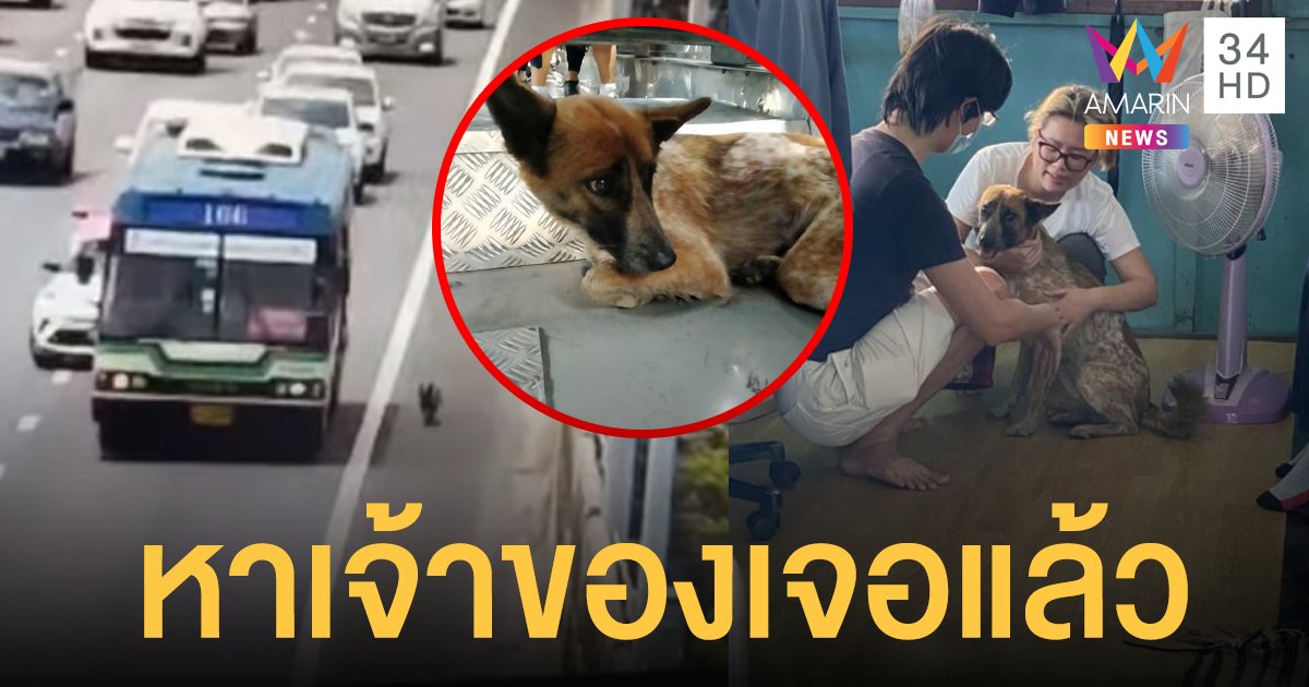 รถเมล์สาย 166 ใจดีแวะรับสุนัขหลงบนทางด่วน กลางแดดร้อนจัด ล่าสุดพบเจ้าของแล้ว