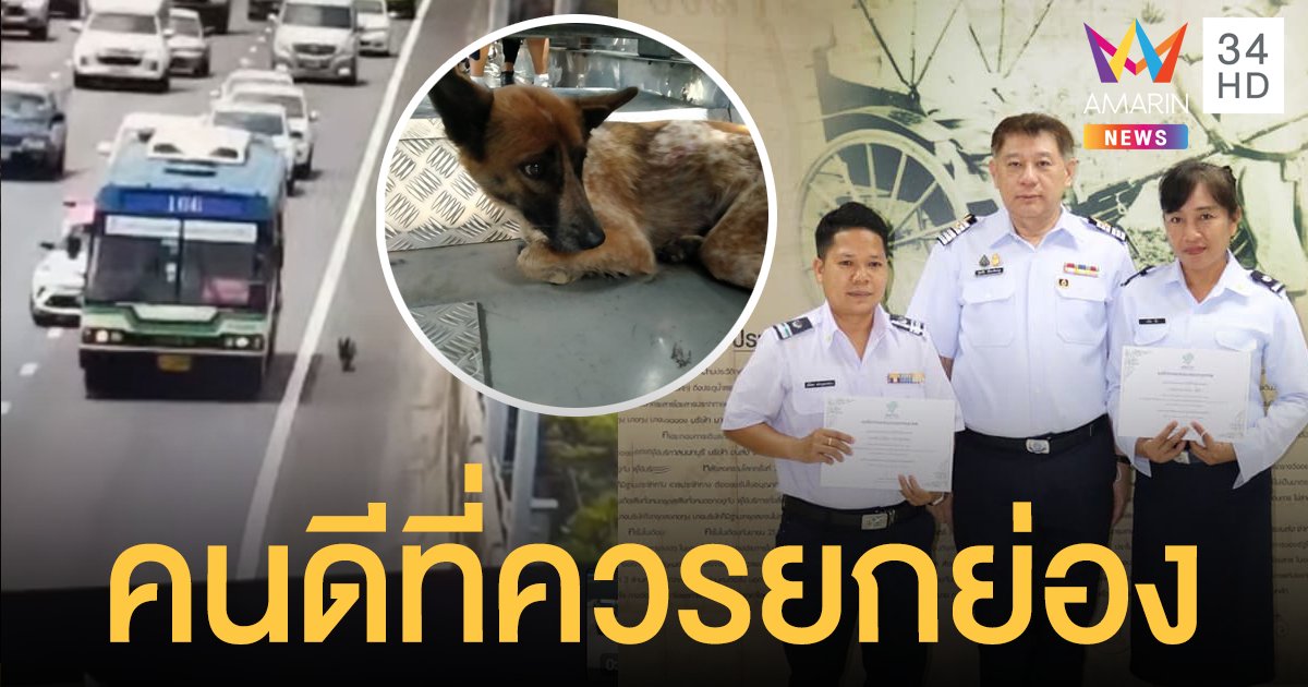 คนขับและกระเป๋ารถเมล์ ปอ.166 เข้ารับรางวัลหลังช่วยสุนัขหลงบนทางด่วน