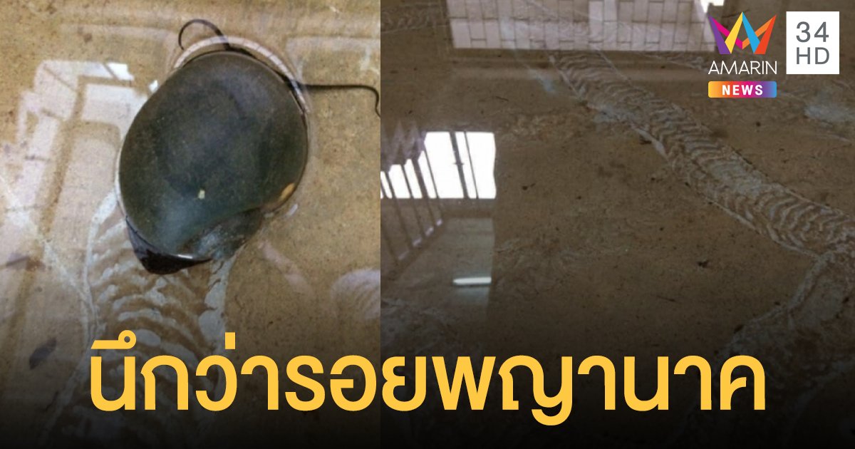 หักมุม! พญานาค หนุ่มโพสต์เจอรอยประหลาด เดินตามหาต้นตอก็ถึงบางอ้อ
