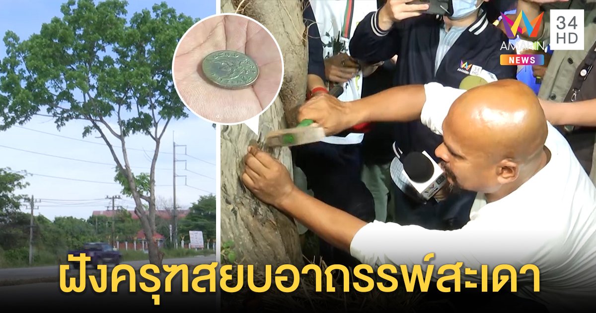 หมอปลาฝังเหรียญครุฑสะกดเฮี้ยน “ต้นสะเดาอาถรรพ์” ตาย 8 เจ็บ 9 แนะทำลูกระนาด (คลิป)