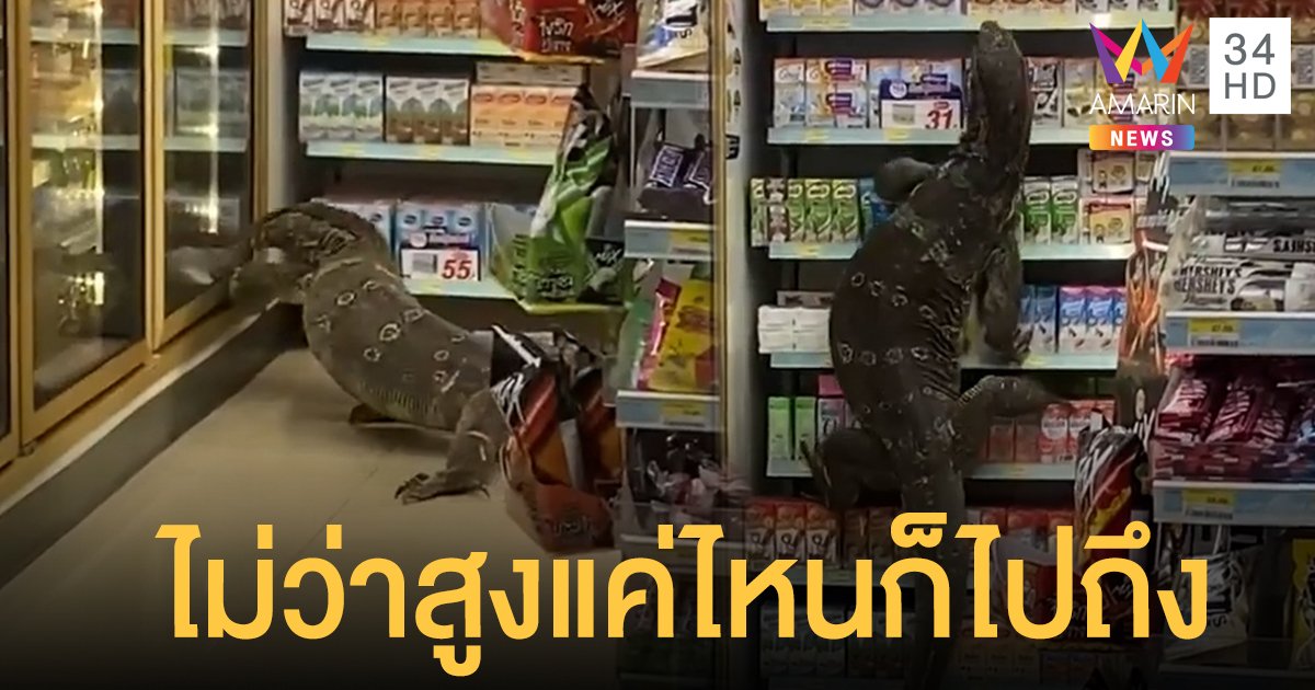 แตกตื่นทั้งร้าน! ตัวเงินตัวทอง บุกเซเว่น ขอตากแอร์ ก็อากาศมันร้อนนะน้องนะ (คลิป)