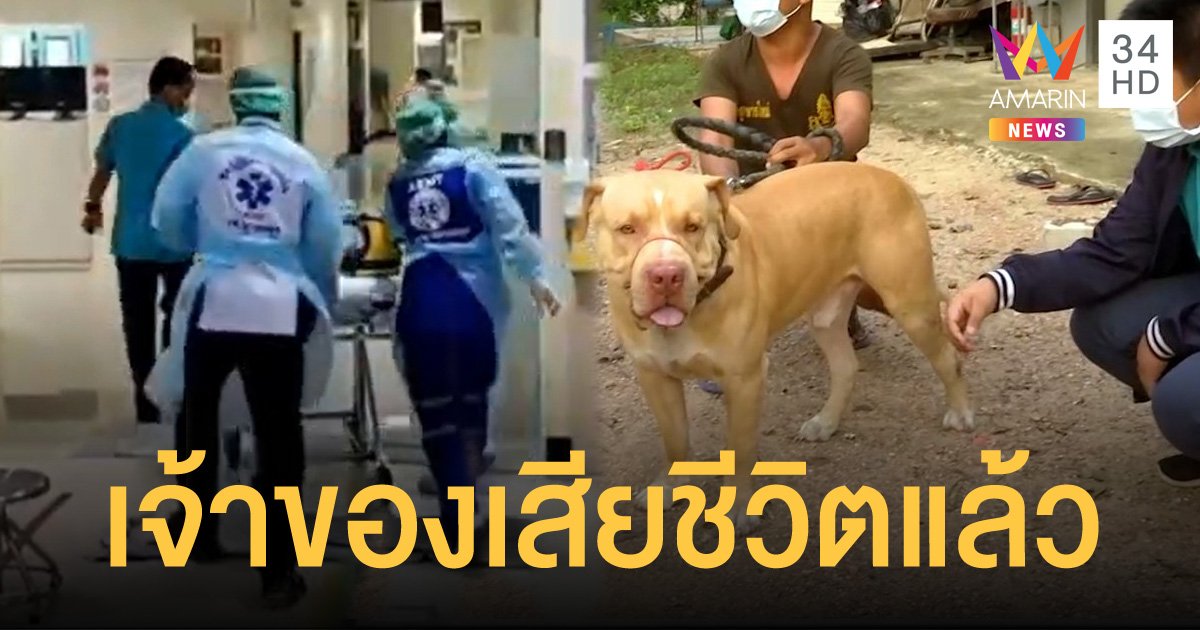 ชายเหยื่อสุนัขพิทบูลแบนด็อก พุ่งขย้ำคอตอนหลับ เสียชีวิตแล้ว